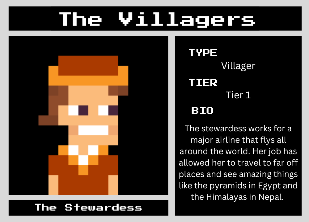 The Stewardess biography card
